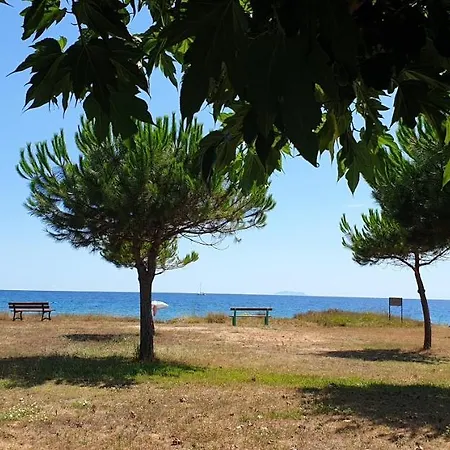 Maison De 4 Chambres A Poggio Mezzana A 100 M De La Plage Avec Vue Sur La Mer Jardin Amenage Et Wifi Σπίτι διακοπών